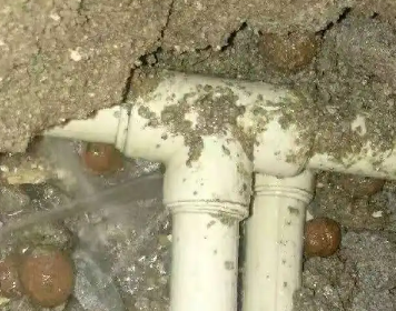 金秀测漏水多少钱