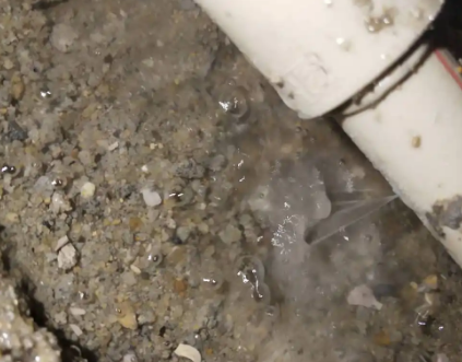 金秀测漏水电话号码