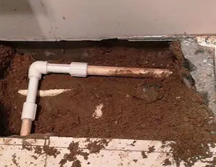 金秀测漏水哪家好