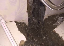 金秀卫生间测漏水哪家好