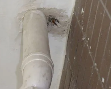 金秀漏水检测哪家好