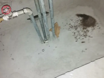 金秀卫生间测漏水价格明细